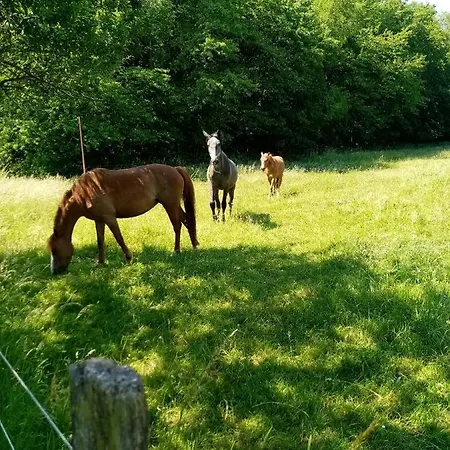 לינה וארוחת בוקר De La Noyelle A En Melantois
